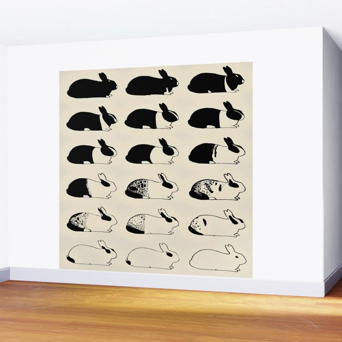 Studies of heredity in rabbits- William E.Castle - 1919 Cute Bunny Pattern Wall Mural Gallery Image 2
