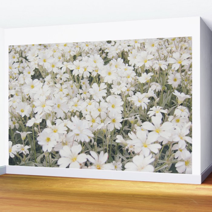 Flower Party Wall Mural Gallery Image 2