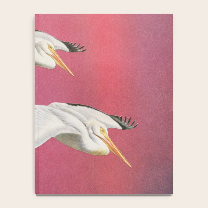Pelicans in Space Notebook Gallery Image 4