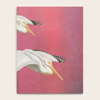 Pelicans in Space Notebook Gallery Image 4