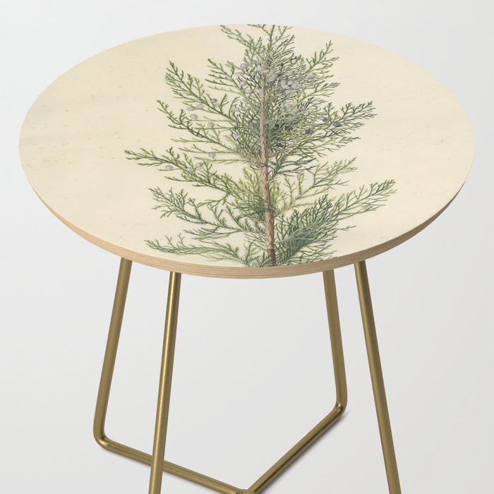 Botanical Juniper Side Table Gallery Image 2