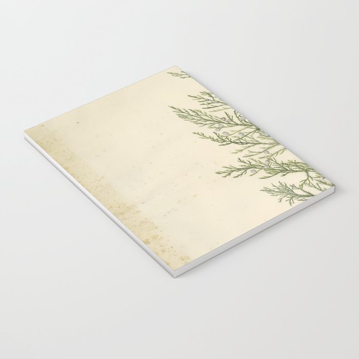Botanical Juniper Notebook Gallery Image 3