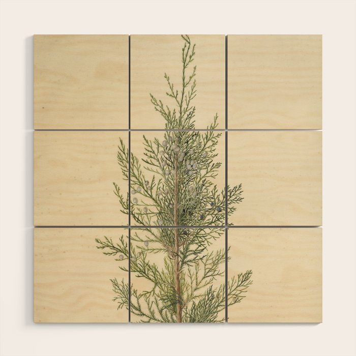 Botanical Juniper Wood Wall Art