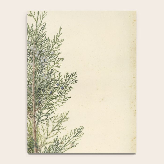 Botanical Juniper Notebook Gallery Image 4