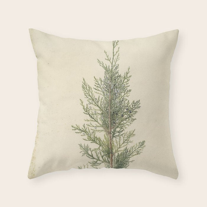 Botanical Juniper Throw Pillow Gallery Image 1