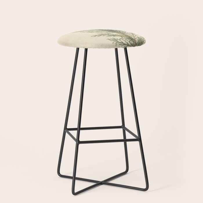 Botanical Juniper Stool Gallery Image 1