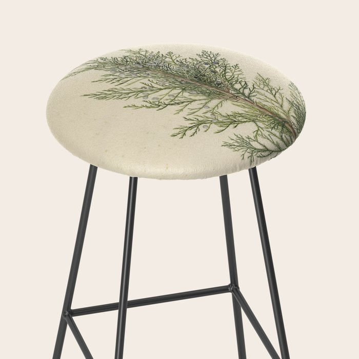 Botanical Juniper Stool Gallery Image 2