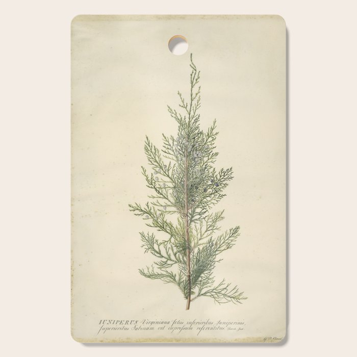 Botanical Juniper Cutting Board Gallery Image 1