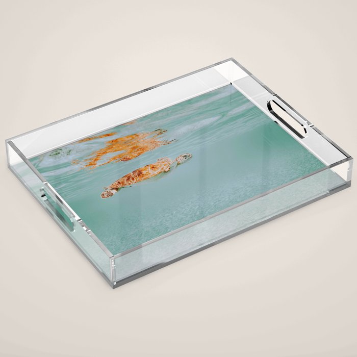 sea turtle ii Acrylic Tray Gallery Image 1