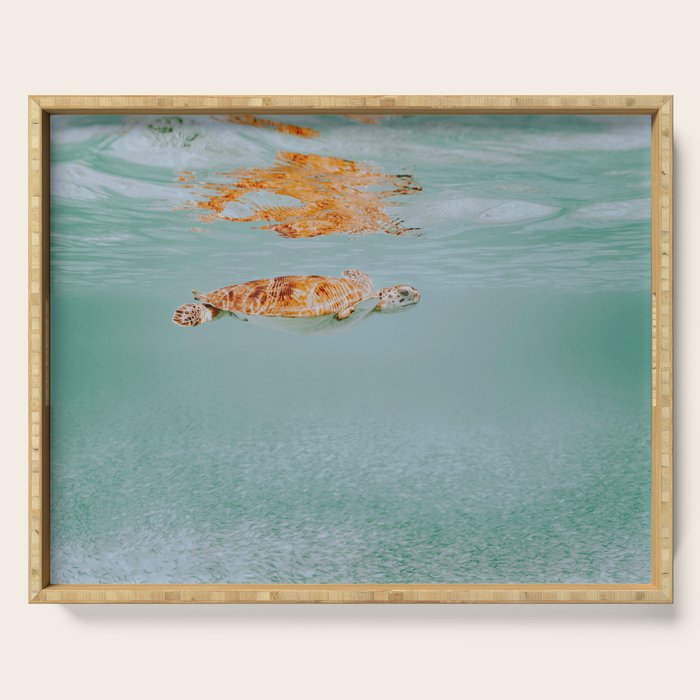 sea turtle ii Serving Tray Gallery Image 1