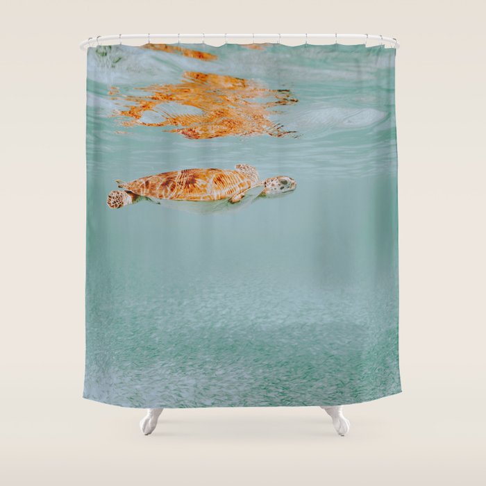 sea turtle ii Shower Curtain Gallery Image 1
