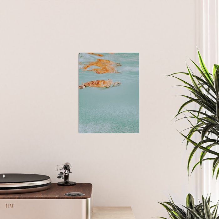 sea turtle ii Poster Gallery Image 2