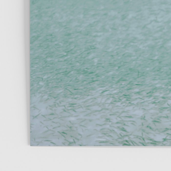 sea turtle ii Poster Gallery Image 3