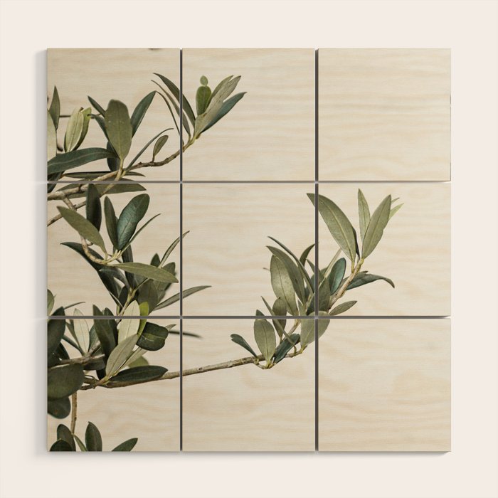 Green Olive Tree Leaves Photo | Botanical Spain Art Print Tenerife Island Nature Travel Photography Wood Wall Art Gallery Image 1