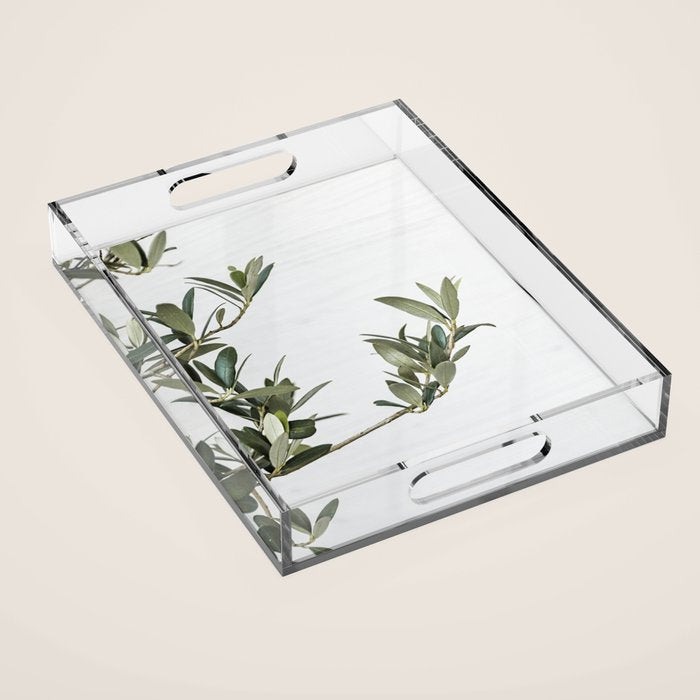 Green Olive Tree Leaves Photo | Botanical Spain Art Print Tenerife Island Nature Travel Photography Acrylic Tray Gallery Image 1