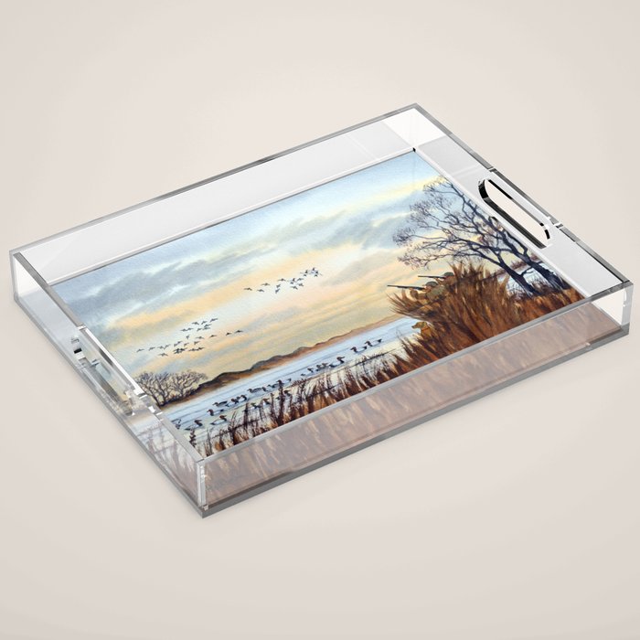 Duck Hunting Season Begins For The Canvasback Acrylic Tray Gallery Image 1