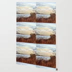 Duck Hunting Season Begins For The Canvasback Wallpaper Gallery Image 2