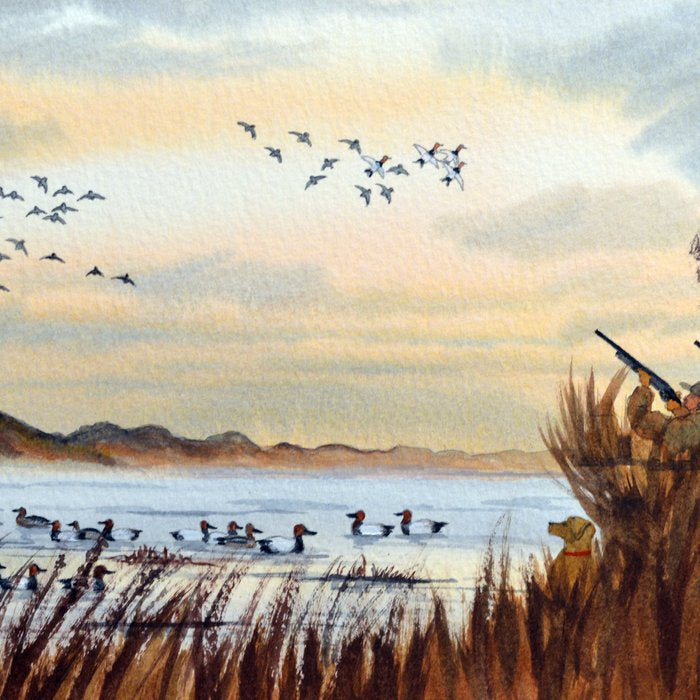 Duck Hunting Season Begins For The Canvasback Coffee Mug Gallery Image 2