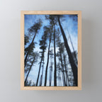 Northern Pines Mini Art Print Gallery Image 1