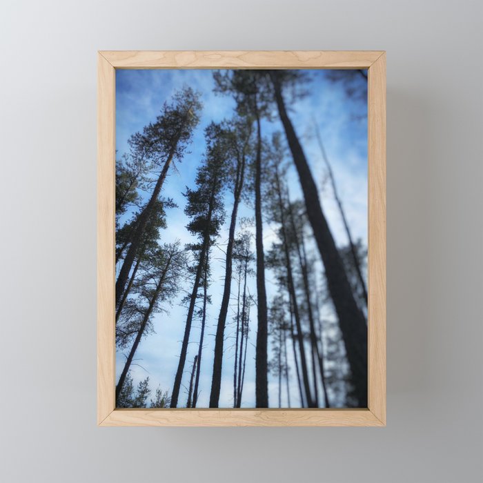 Northern Pines Mini Art Print Gallery Image 1