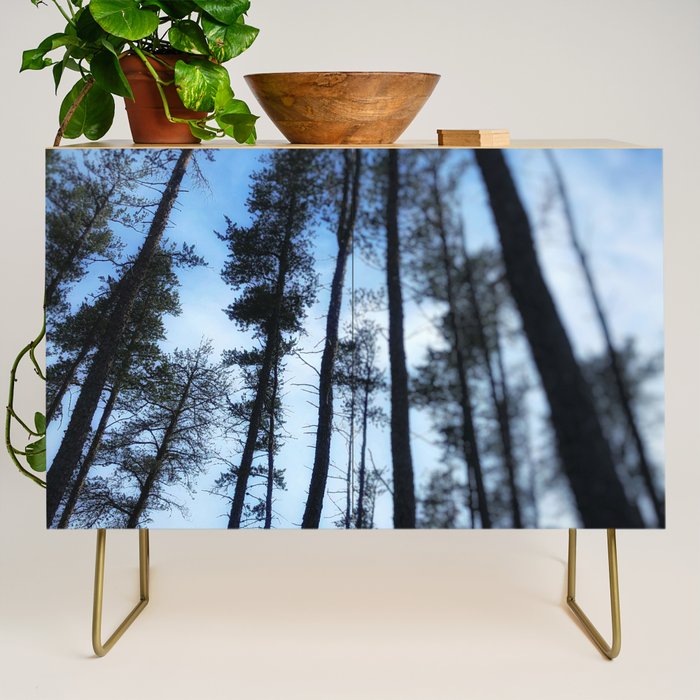 Northern Pines Credenza Gallery Image 1