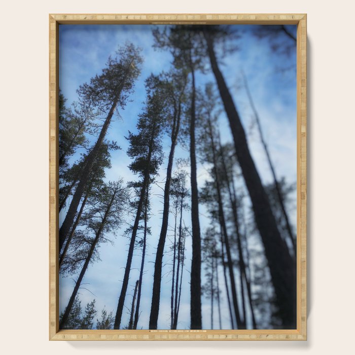 Northern Pines Serving Tray Gallery Image 1