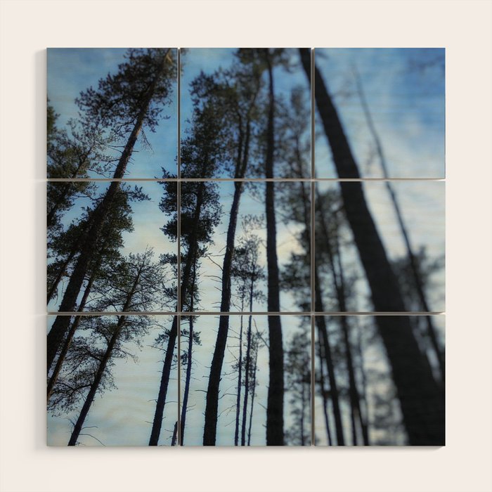 Northern Pines Wood Wall Art Gallery Image 1