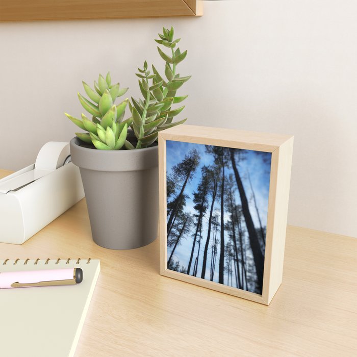 Northern Pines Mini Art Print Gallery Image 2