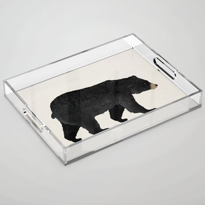 Black Bear Ursus Americanus Acrylic Tray Gallery Image 1