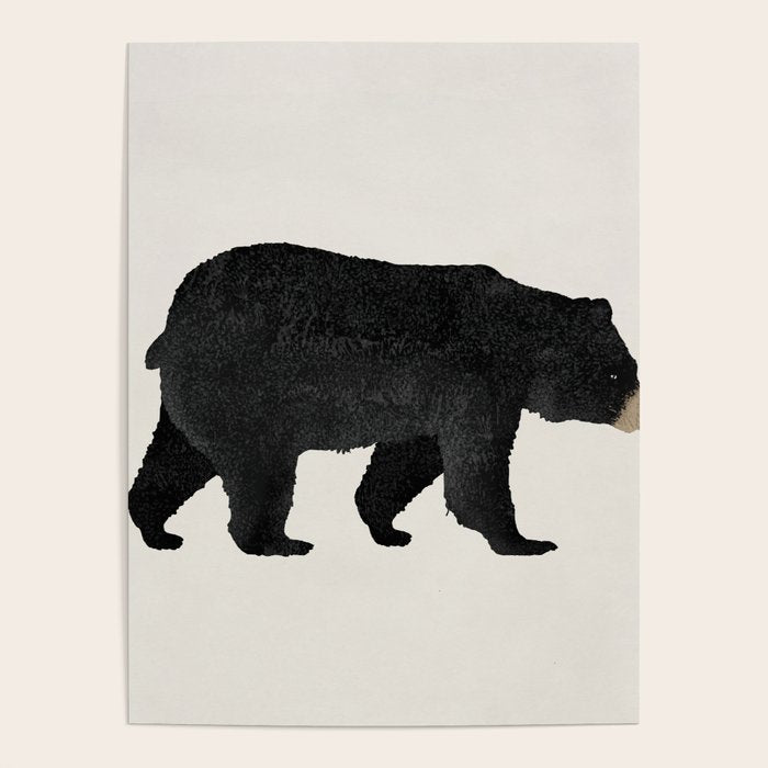 Black Bear Ursus Americanus Poster Gallery Image 1