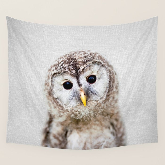 Baby Owl - Colorful Wall Tapestry Gallery Image 4