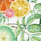 Citrus Fruit Coffee Mug Gallery Image 2
