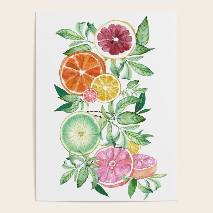 Citrus Fruit Poster Gallery Image 4