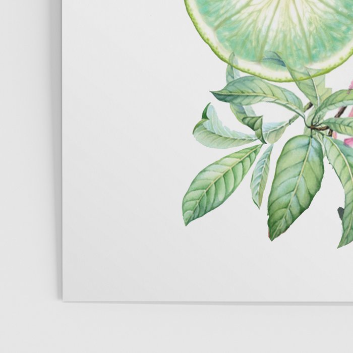 Citrus Fruit Poster Gallery Image 3