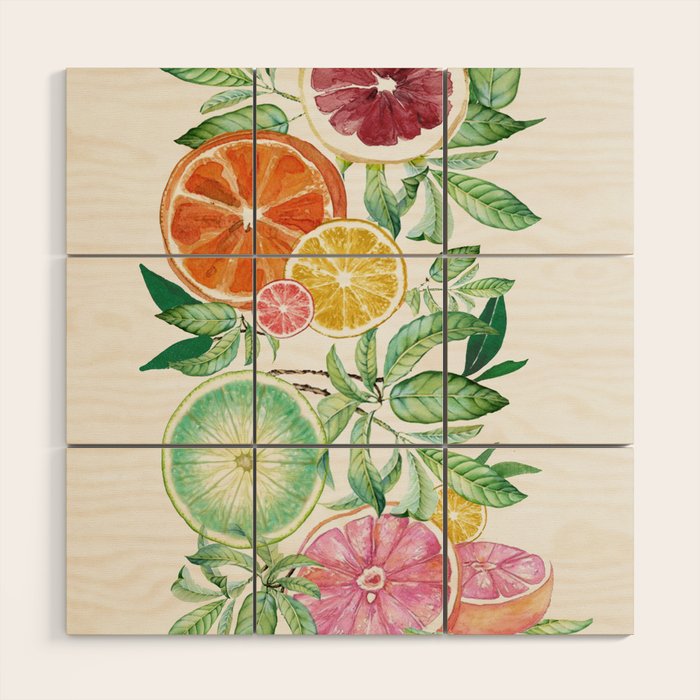 Citrus Fruit Wood Wall Art Gallery Image 1