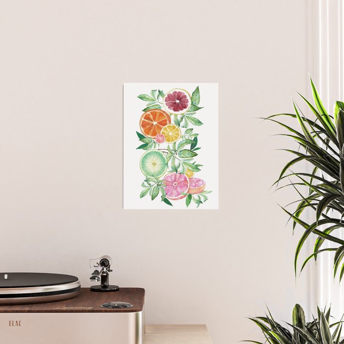 Citrus Fruit Poster Gallery Image 2