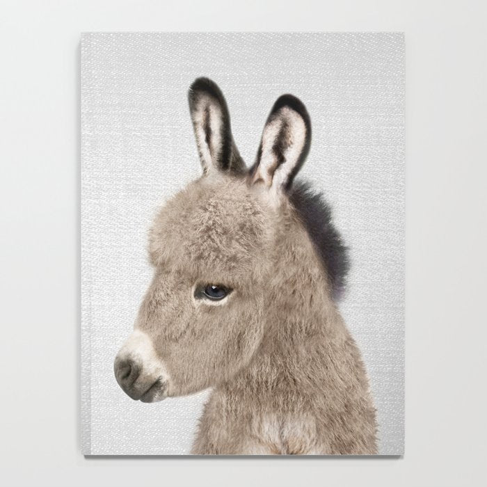 Donkey - Colorful Notebook Gallery Image 4