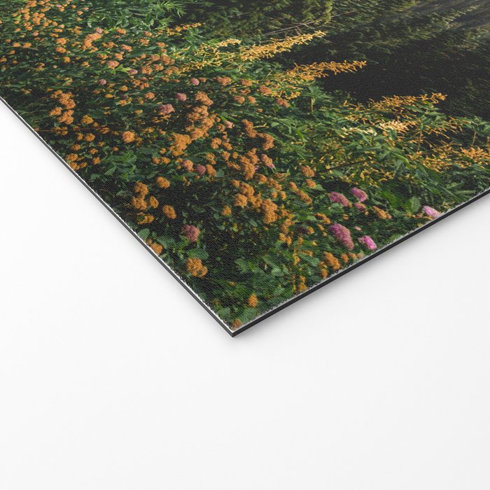 Mount Rainier Wildflower Adventure - National Park Wanderlust Welcome Mat Gallery Image 2