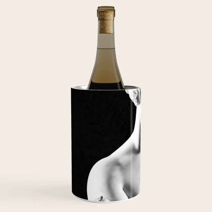 Aphrodite Wine Chiller Gallery Image 2
