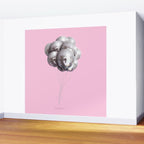 Disco Balloons Wall Mural Gallery Image 2