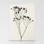 Gypsophila Portrait #2 Stationery Card Gallery Image 2