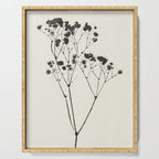 Gypsophila Portrait #2 Serving Tray Gallery Image 1