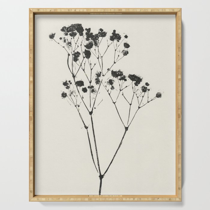 Gypsophila Portrait #2 Serving Tray Gallery Image 1
