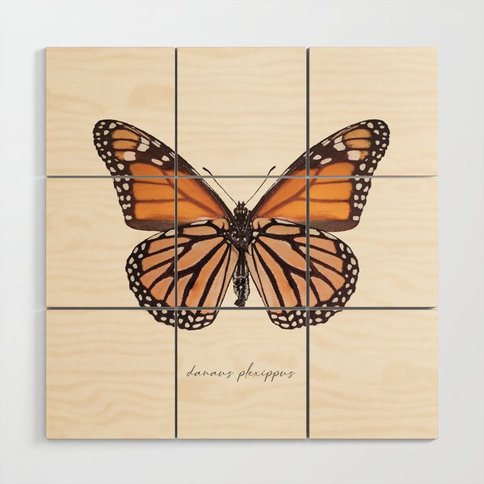 Monarch Butterfly (Danaus Plexippus) Wood Wall Art Gallery Image 1