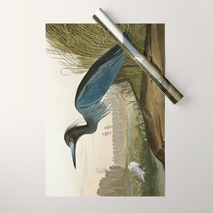 Little Blue Heron - John James Audubon's Birds of America Print Wrapping Paper Gallery Image 1