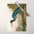 Little Blue Heron - John James Audubon's Birds of America Print Wrapping Paper Gallery Image 1
