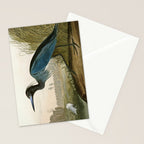 Little Blue Heron - John James Audubon's Birds of America Print Stationery Card Gallery Image 2