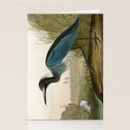 Little Blue Heron - John James Audubon's Birds of America Print Stationery Card Gallery Image 2
