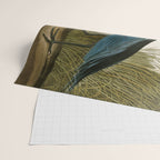 Little Blue Heron - John James Audubon's Birds of America Print Wrapping Paper Gallery Image 2