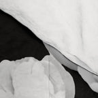 White Peony Flowers Black Background #decor #society6 #buyart Comforter Gallery Image 4
